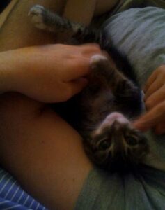 a blurry picture of a small cat laying on its back in the crook of someone's arm