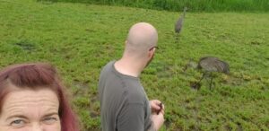 selfie of a person in front of another person looking at the two large cranes walking on a lawn in the distance