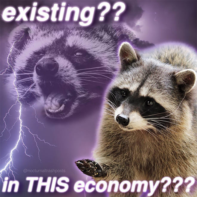 a meme of raccoons and text saying Existing? In this economy?