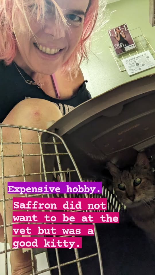 selfie of a person leaning over to open a door on a cat carrier