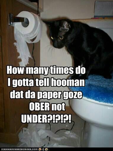 a meme of a cat on a toilet that shredded a toilet paper roll with the text: how many times do I gotta tell hooman dat da paper goze ober not under?