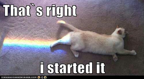 a meme of a cat laying on carpet with a prism rainbow cast over it and the text: That's right. I started it