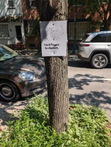 a tree on an urban neighborhood sidewalk asks that dogs not pee on the grass here