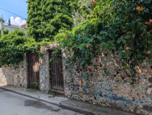 a long low wall has a tile mosaic on it and large busy vines growing over the top with orange trumpet flowers blooming