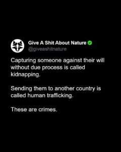 a tweet about arrest and due process being civil rights