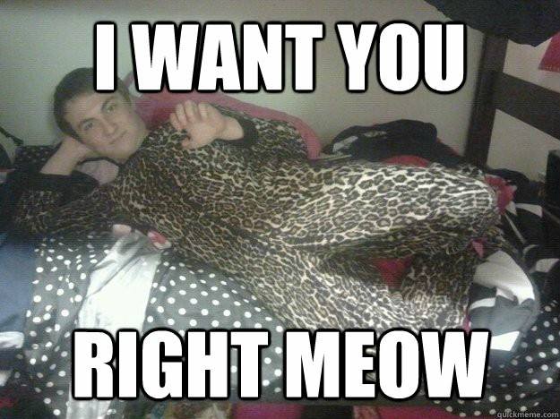 a meme of a person in a leopard print onesie on a bed with the text: I want you right meow