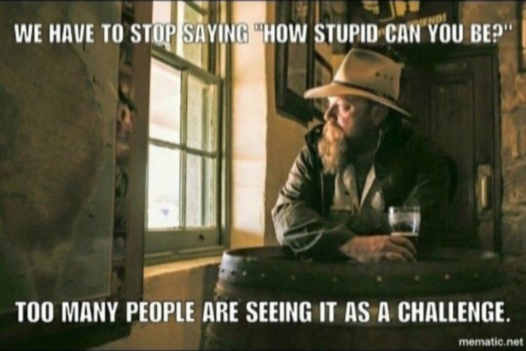 a meme of a cowboy drinking beer says "we have to stop saying how stupid can you be. too many people are seeing it as a challenge."
