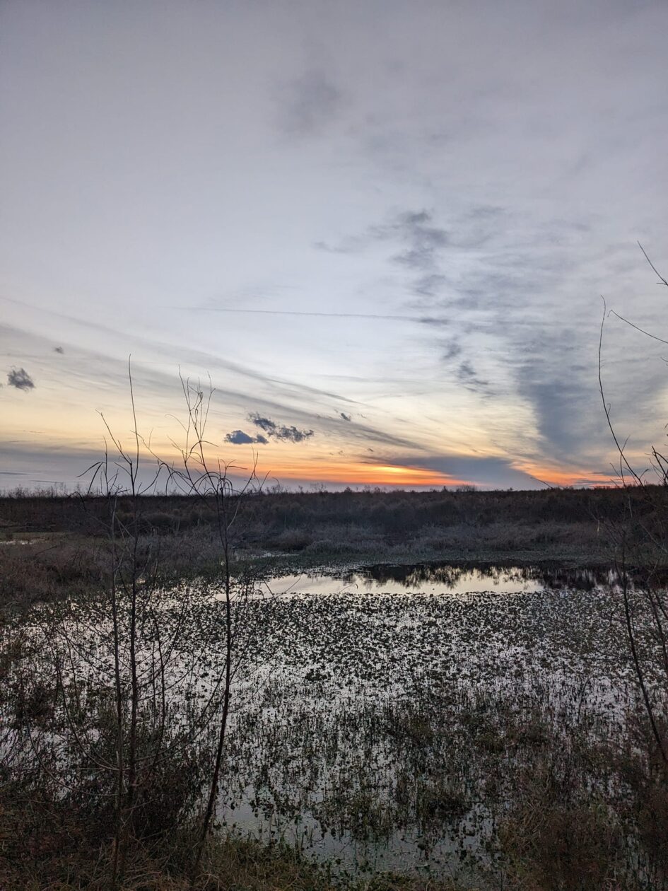a striking sunset in the distance reflects off the wetland in the foreground ahead of a dark treeless stretch of open prairie