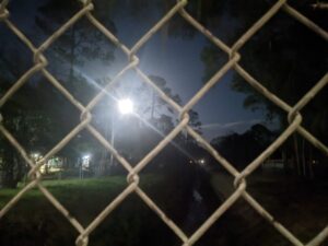 a moon is shining brightly int he distance through trees and over a dark neighborhood seen through a chain link fence